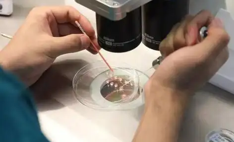 全国打破偏见的生命礼赞：同性生子背后的爱与坚守